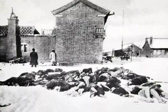 110年前,一个年轻的医生拯救了东北,拯救了中国… 110年前,一个年轻的医生拯救了东北,拯救了中国…