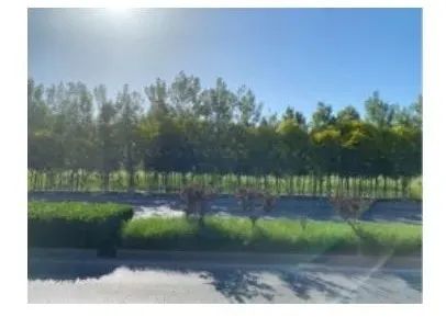 朋友圈工具推荐:用好这7款工具,发圈创意满满! 朋友圈工具推荐:用好这7款工具,发圈创意满满!