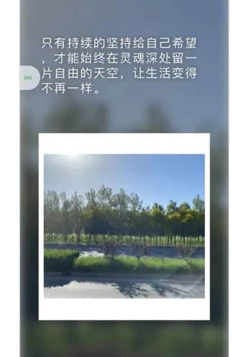 朋友圈工具推荐:用好这7款工具,发圈创意满满! 朋友圈工具推荐:用好这7款工具,发圈创意满满!